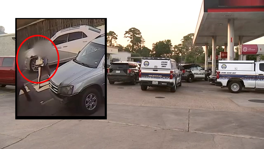 Suspect 'begged for his life' after Houston couple fought back