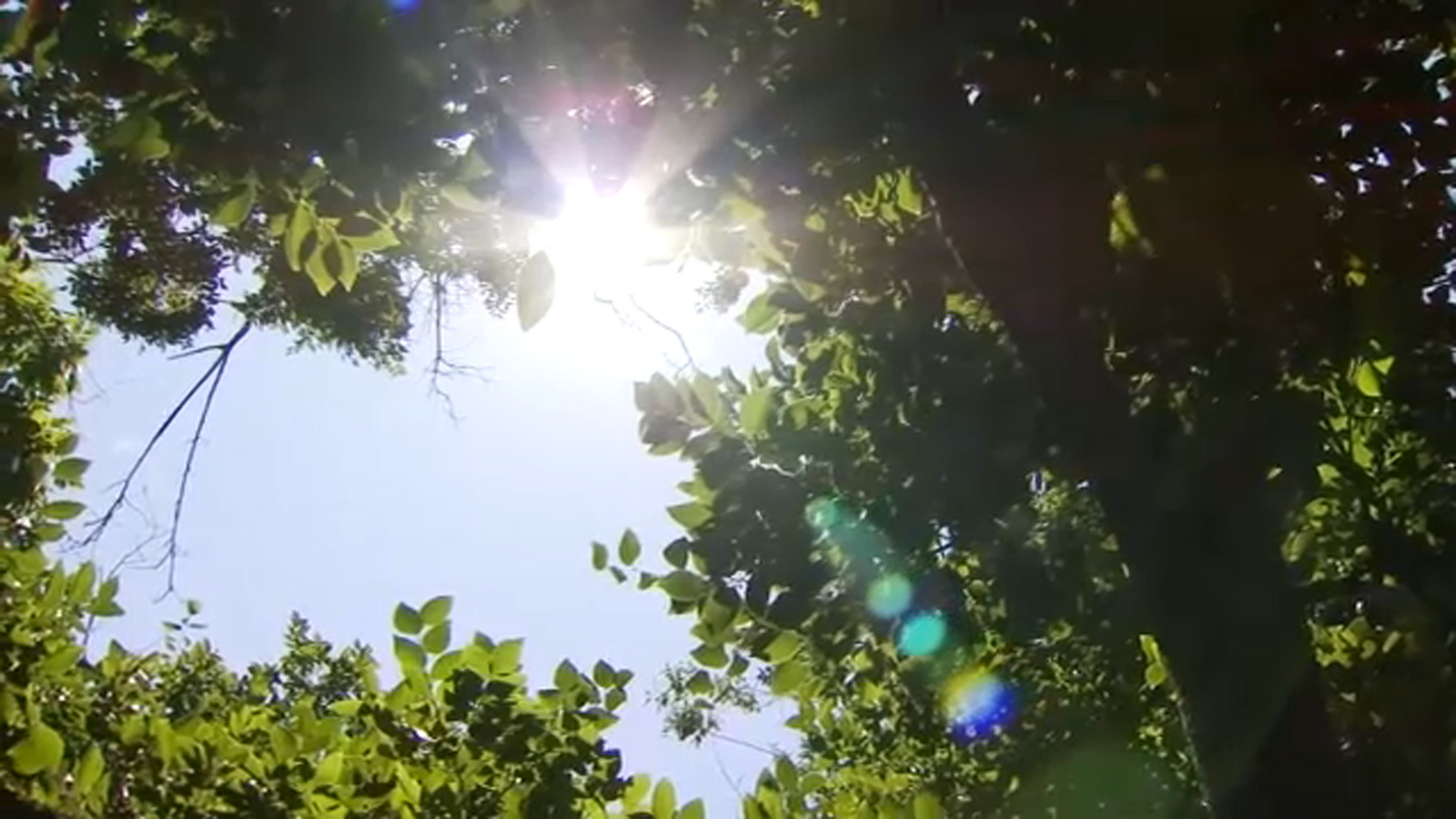 How to stay safe as triple-digit heat returns to the Valley - Vimarsana News