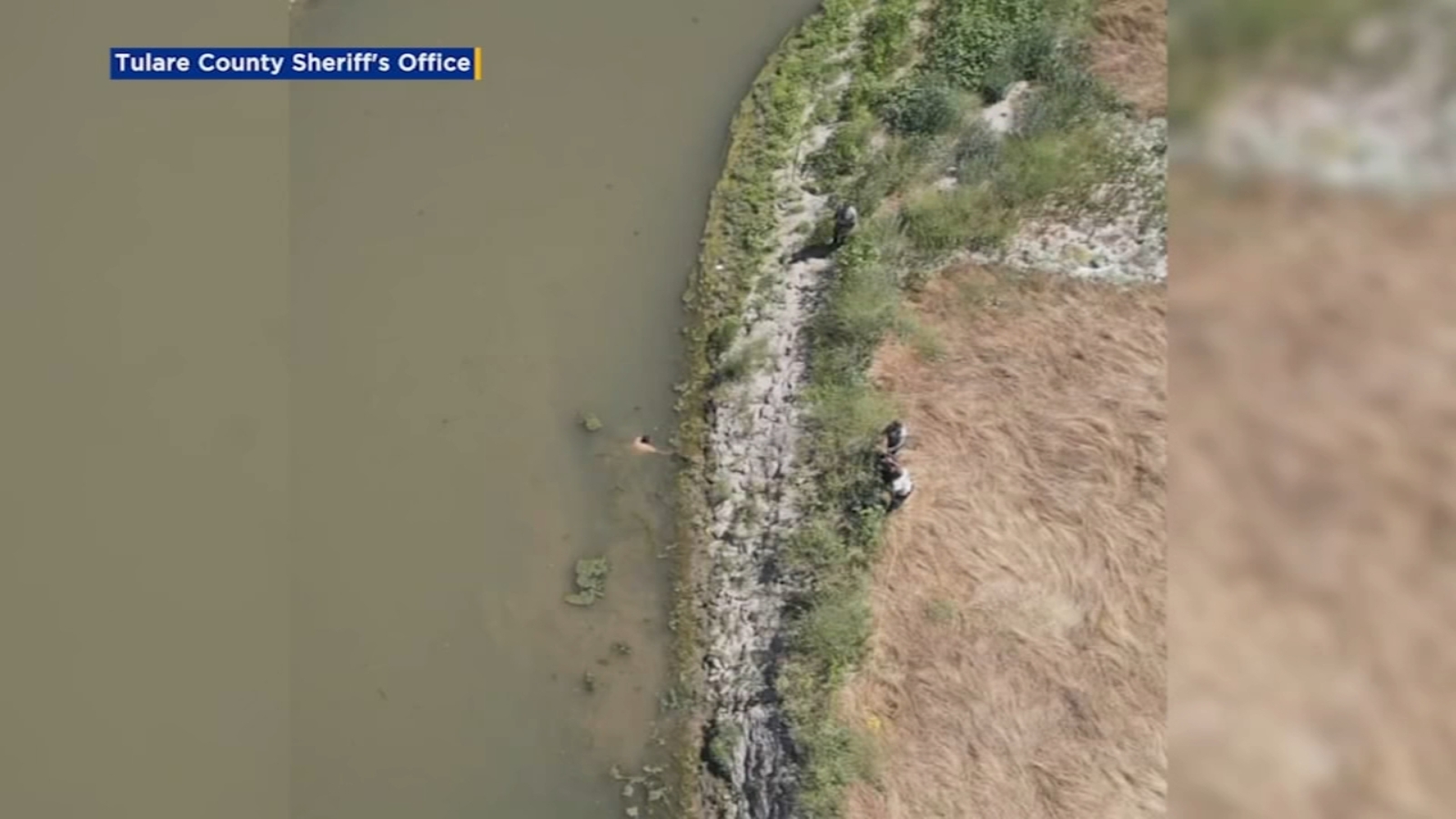 Suspect rescued after jumping into canal during chase in Tulare County ...