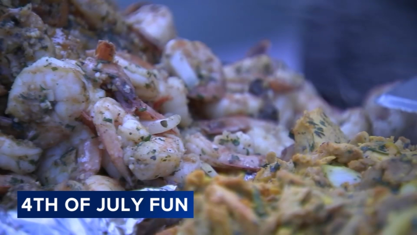 4th of July Chicago events kick off with Washington Park Festival of Life, American Music Festival at FitzGerald's in Berwyn, IL - Vimarsana News