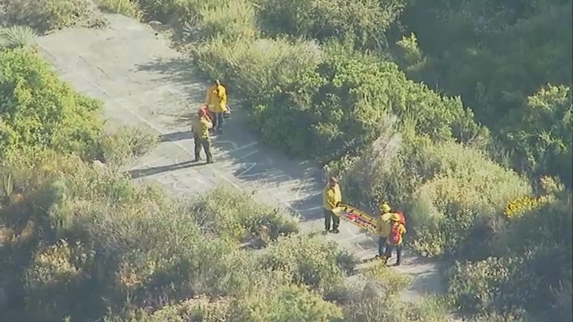 Autoridades investigan posible ataque de oso cerca de Mount Baldy