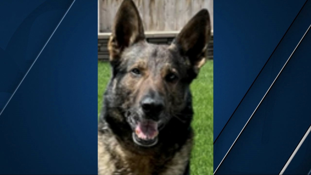 K9 with Reedley Police Department escapes from garage
