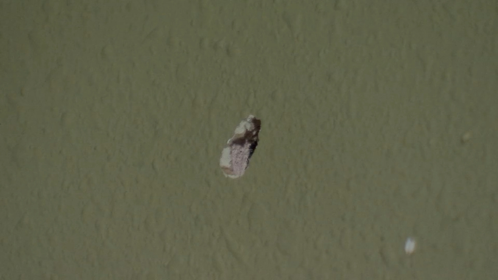 Bullet whizzes past sleeping northwest Houston mother and son, family ...