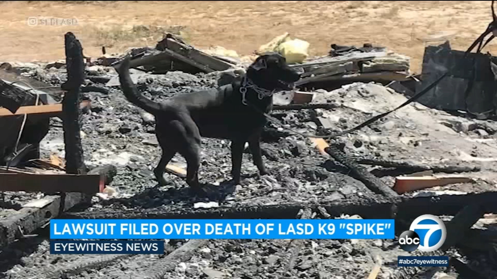 Veterinarian files lawsuit against LASD former Sheriff Villanueva over K9s death