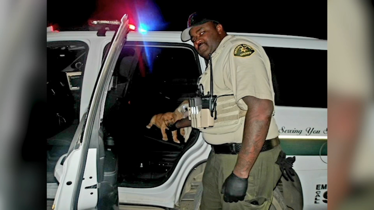 Fresno County deputy rescues puppies on side of the road
