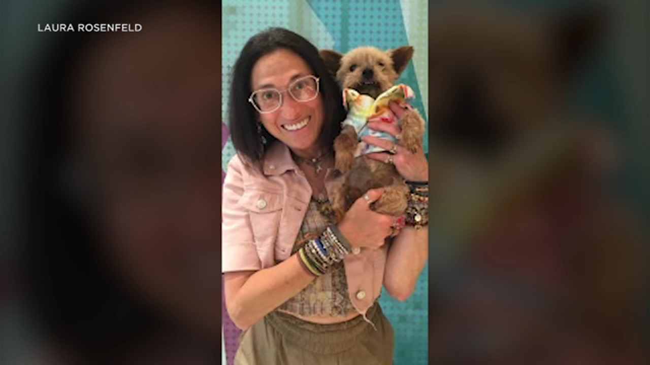Dog dies after being violently kicked by man in Venice