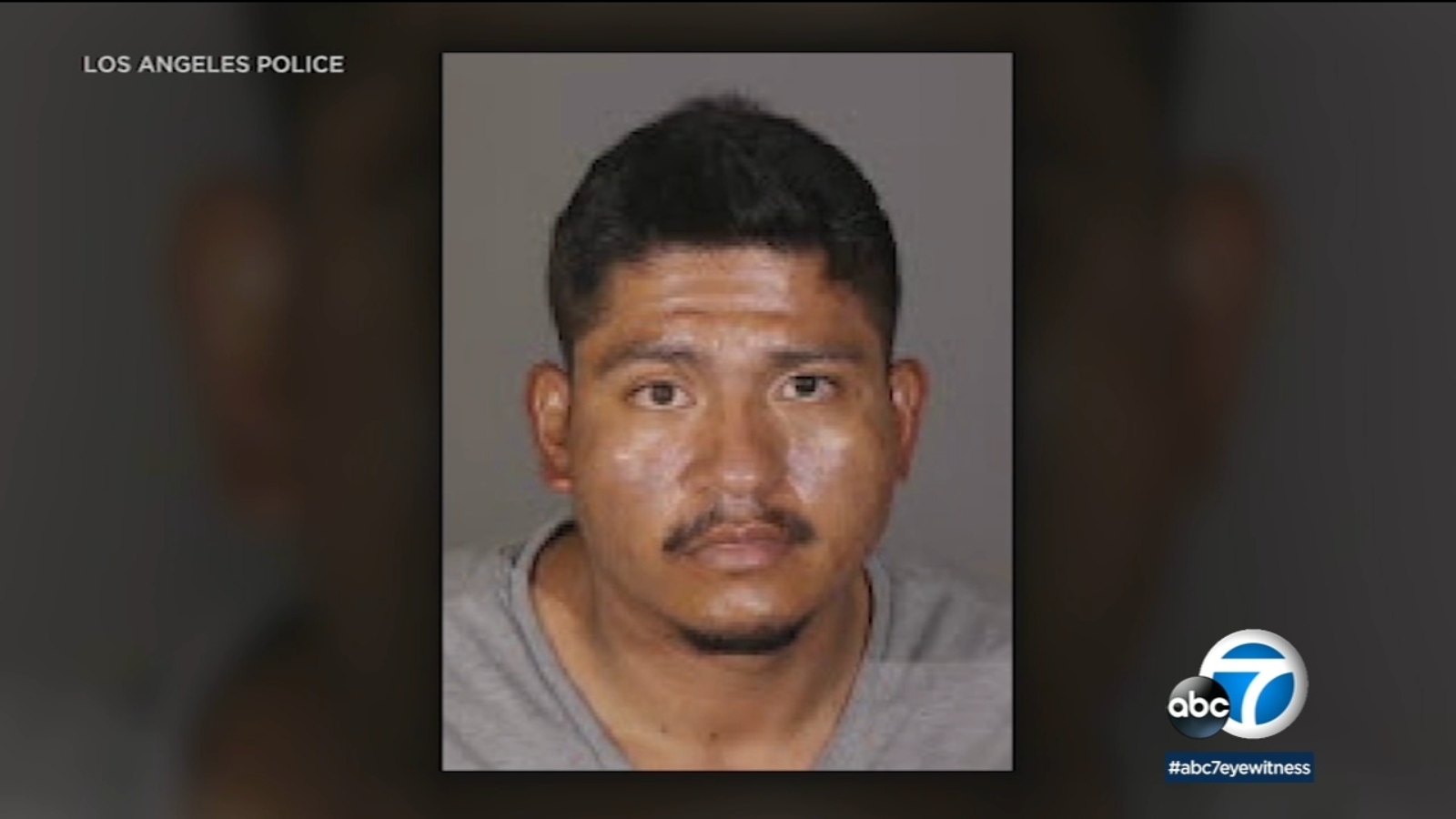 Reseda sex assault suspect arrested; other possible victims sought - Vimarsana News