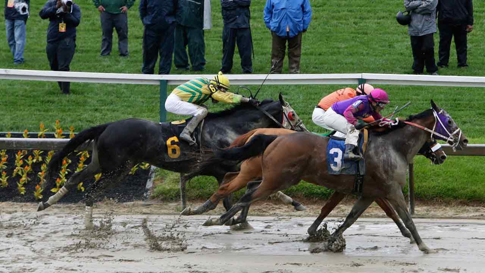 2 horses die on Preakness Day undercard; jockey injured ABC7 San