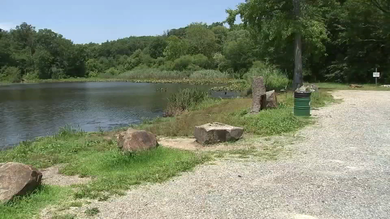 Man carjacked in Delaware park; suspect still at large