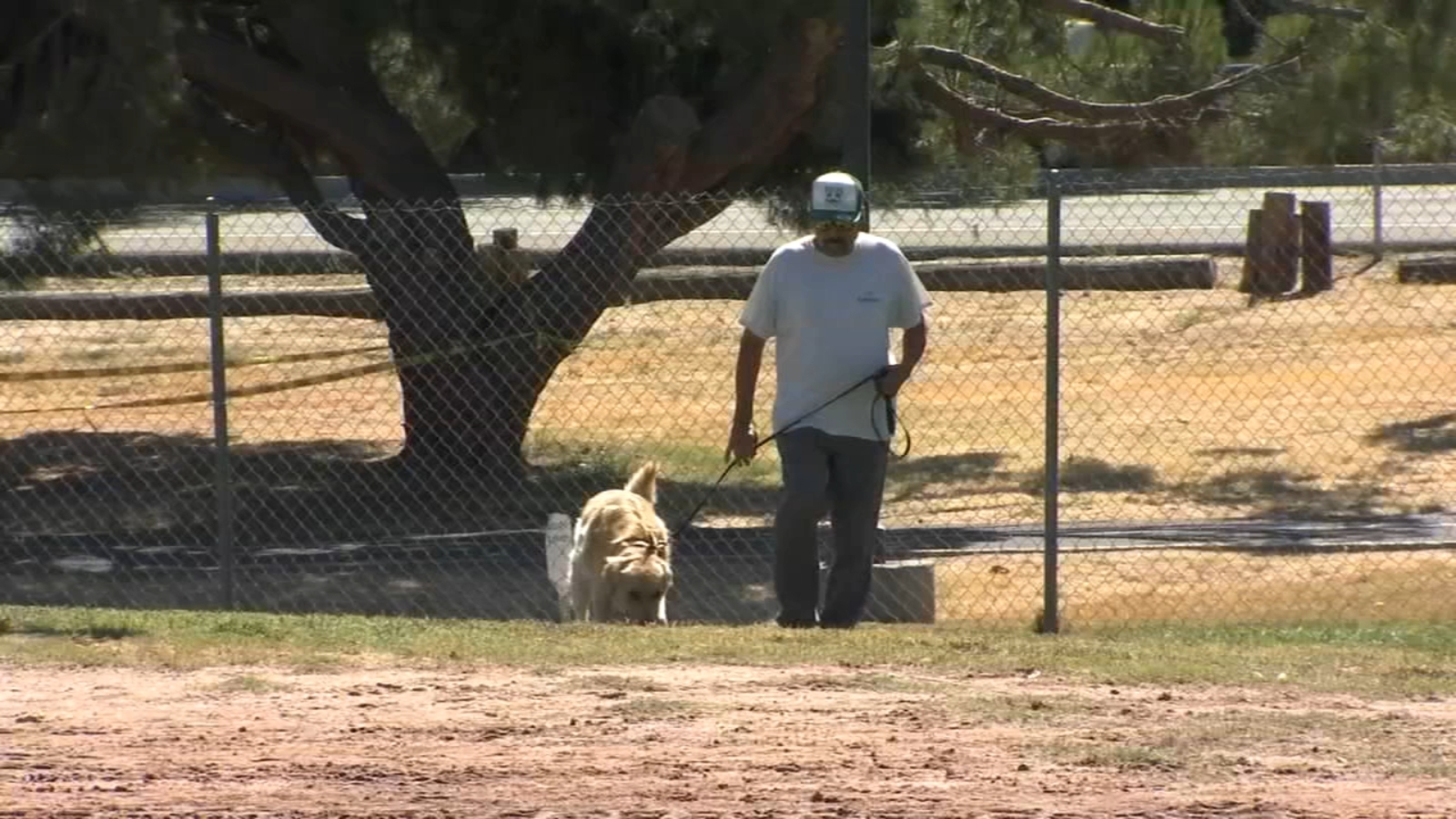 Protecting pets during high temperatures Protecting pets during high temperatures