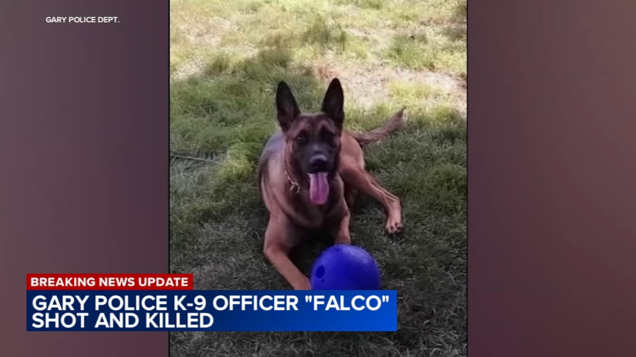 On-duty K-9 shot to death; man arrested: Indiana police