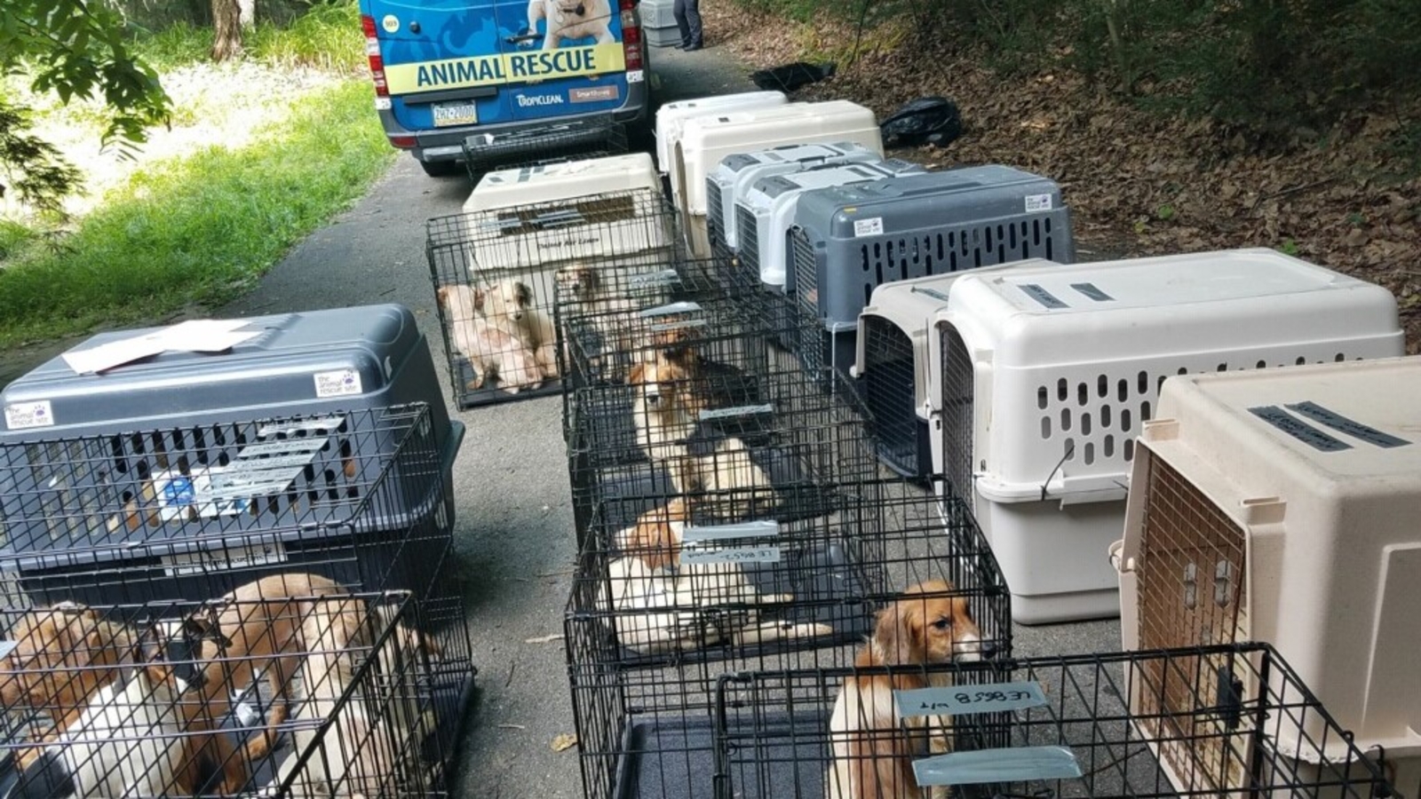 Pennsylvania SPCA rescues over 70 dogs cats birds from Monroe County home