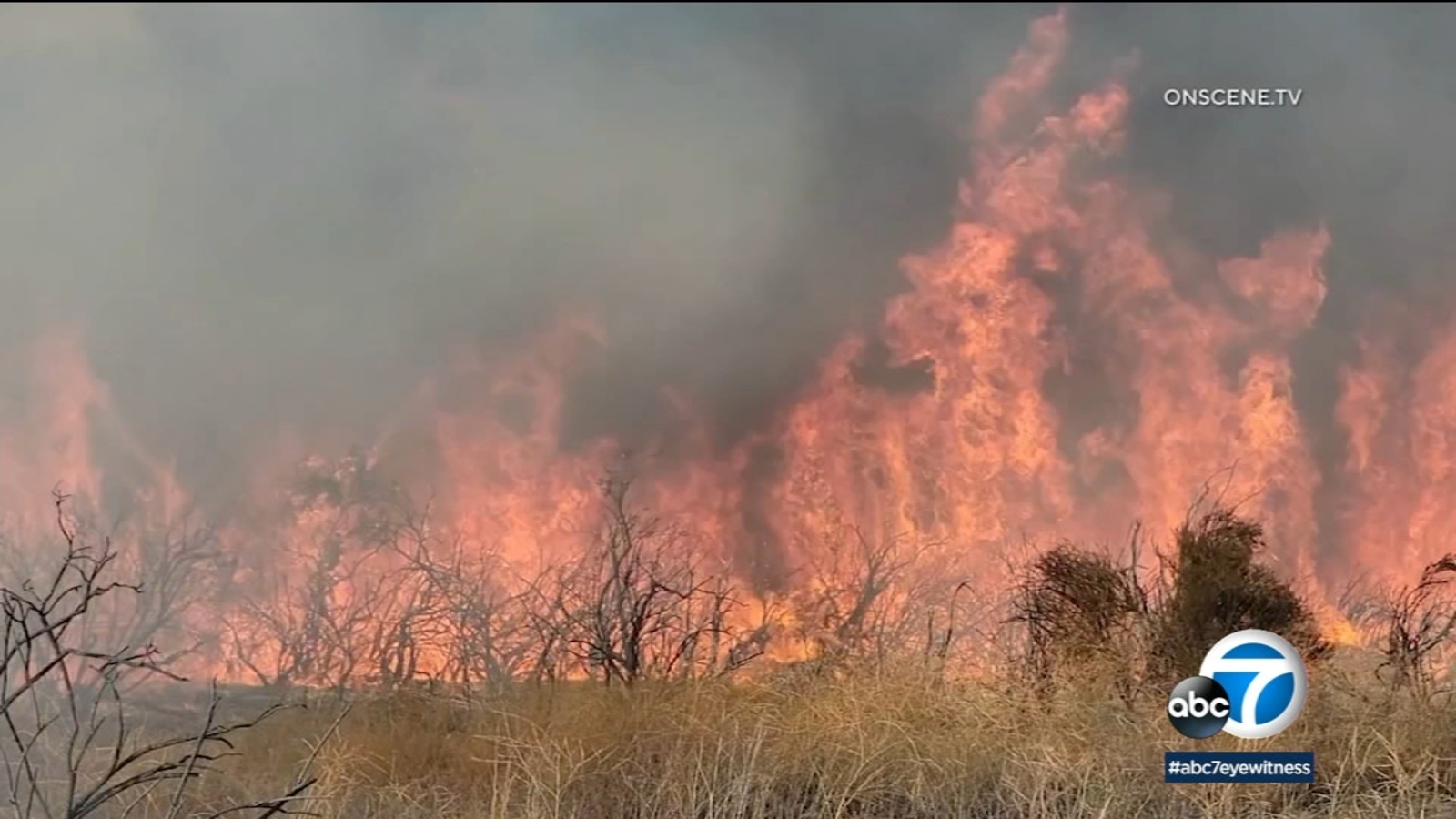 Firefighters battle 7600acre Rabbit Fire in Lakeview 1 of 4 separate blazes in Riverside County