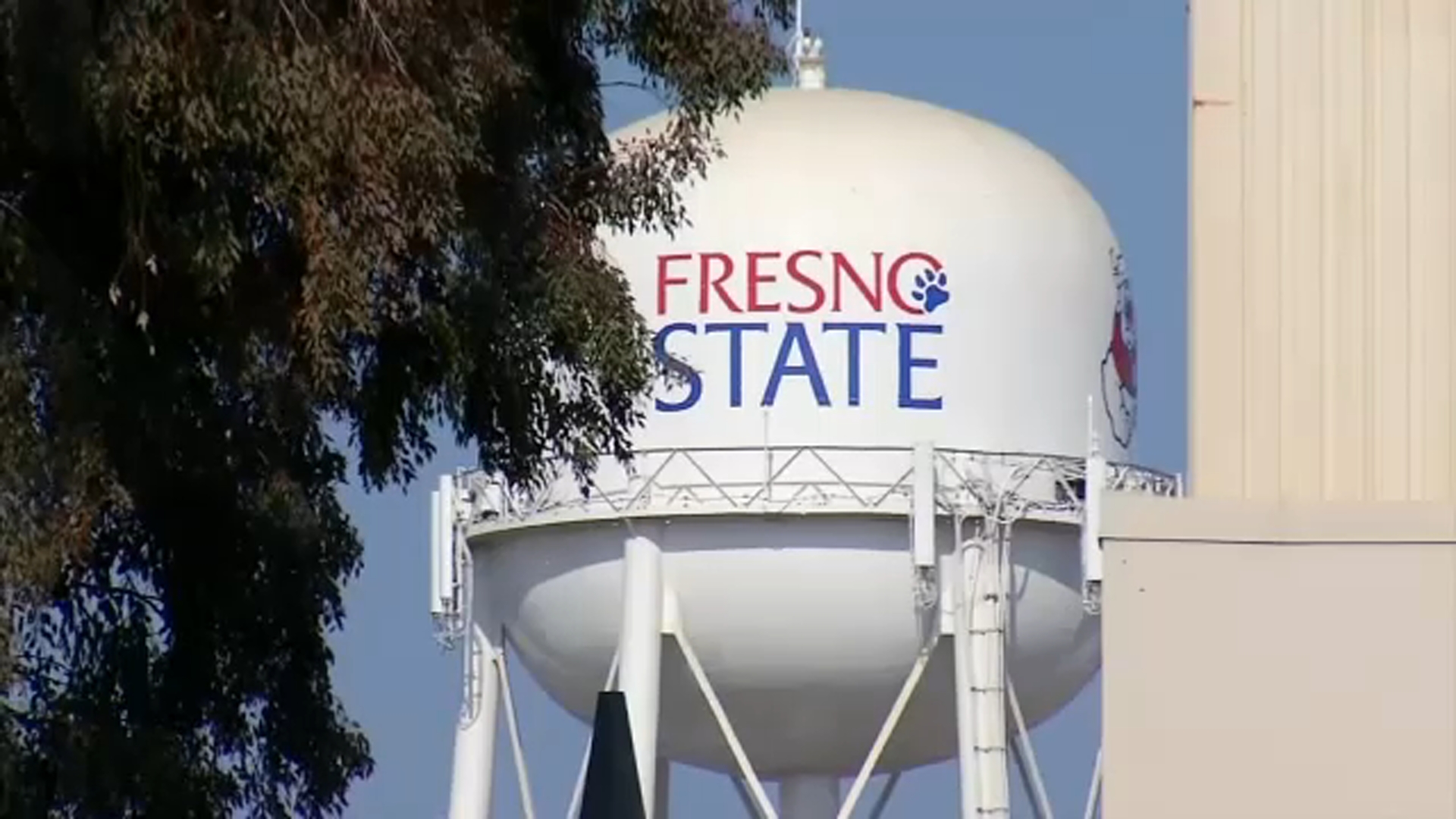Fresno State criticized in reports about Title IX violations