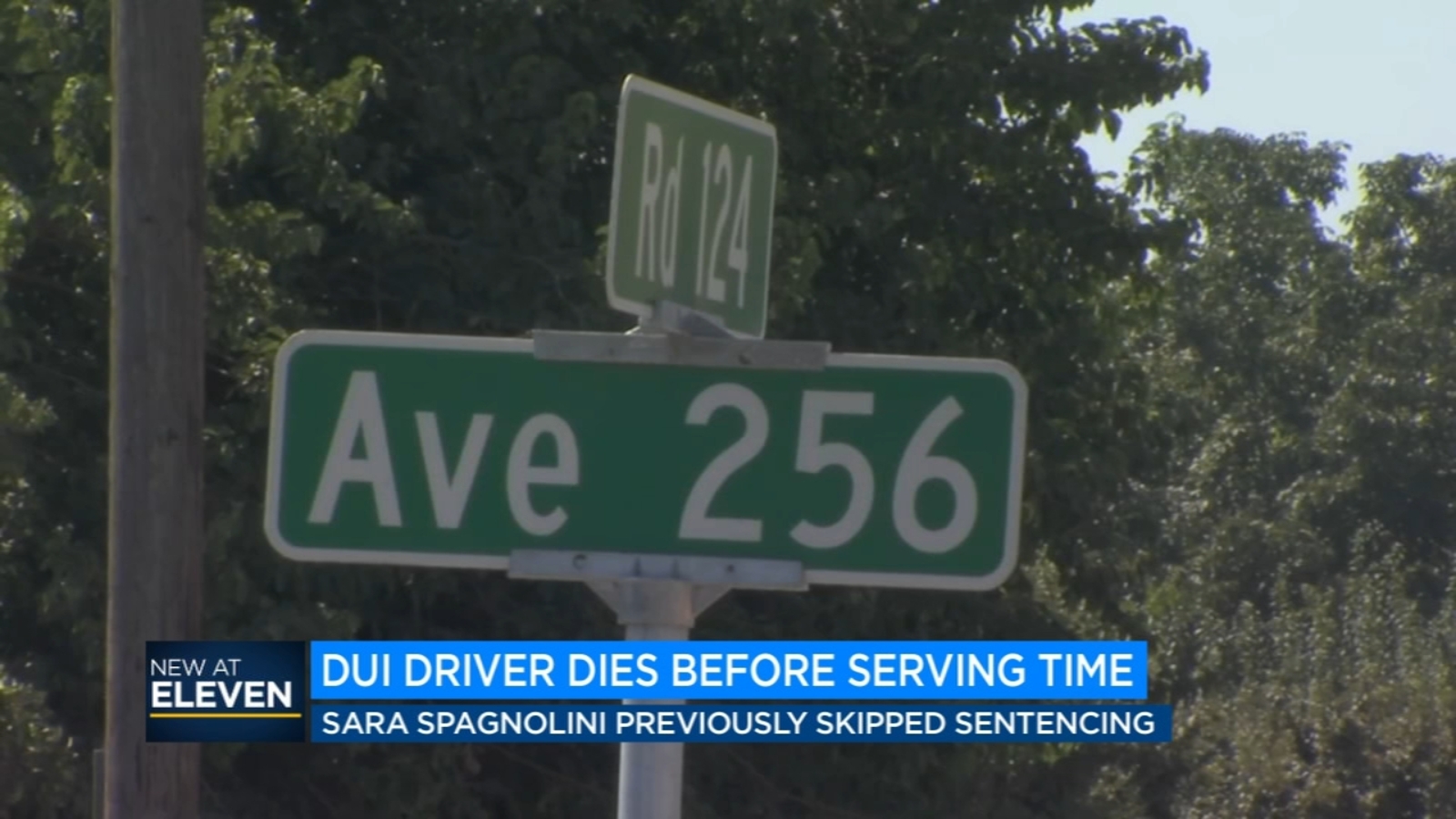 DUI driver who killed 10-year-old in 2019 dies before serving time - Vimarsana News