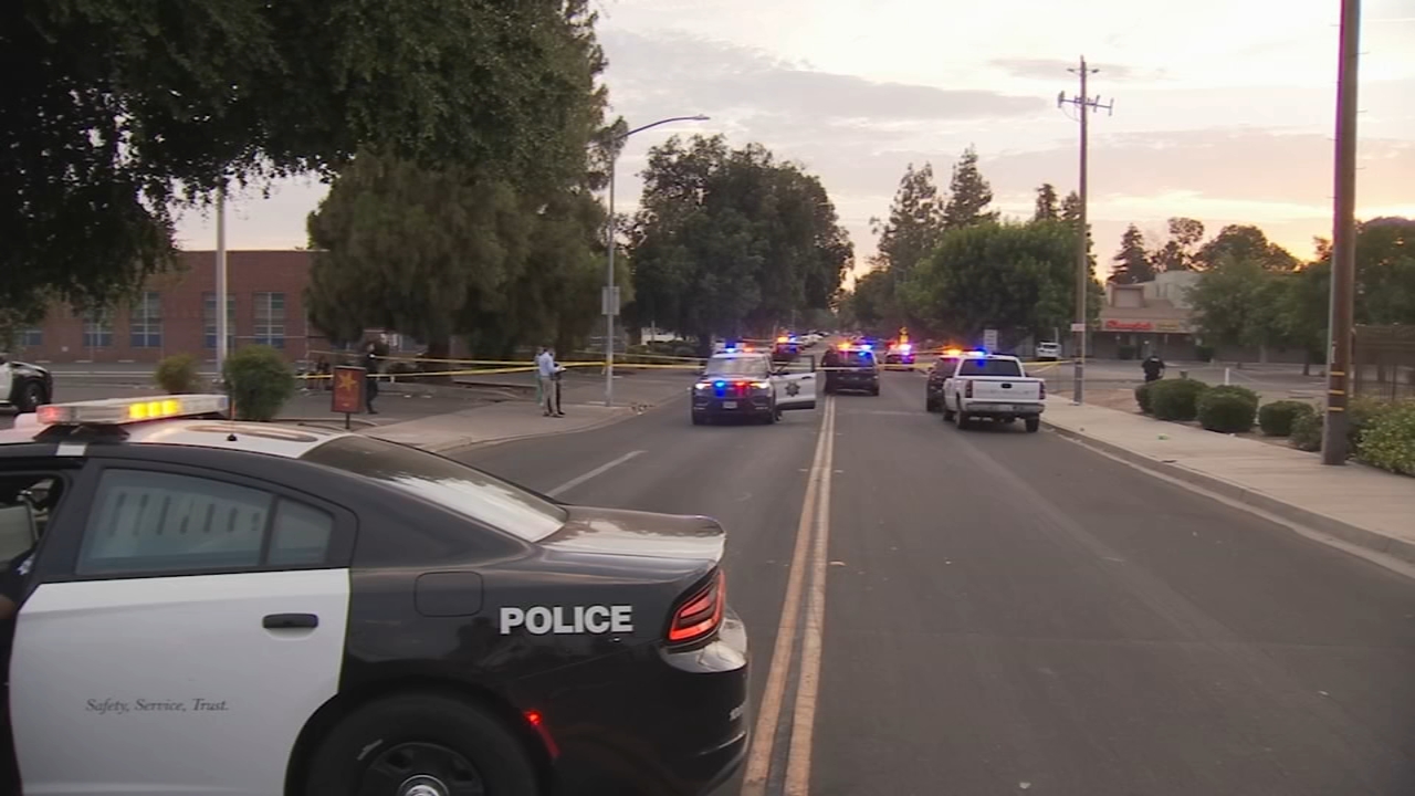 Unhoused woman stabbed to death in central Fresno identified, suspect in custody
