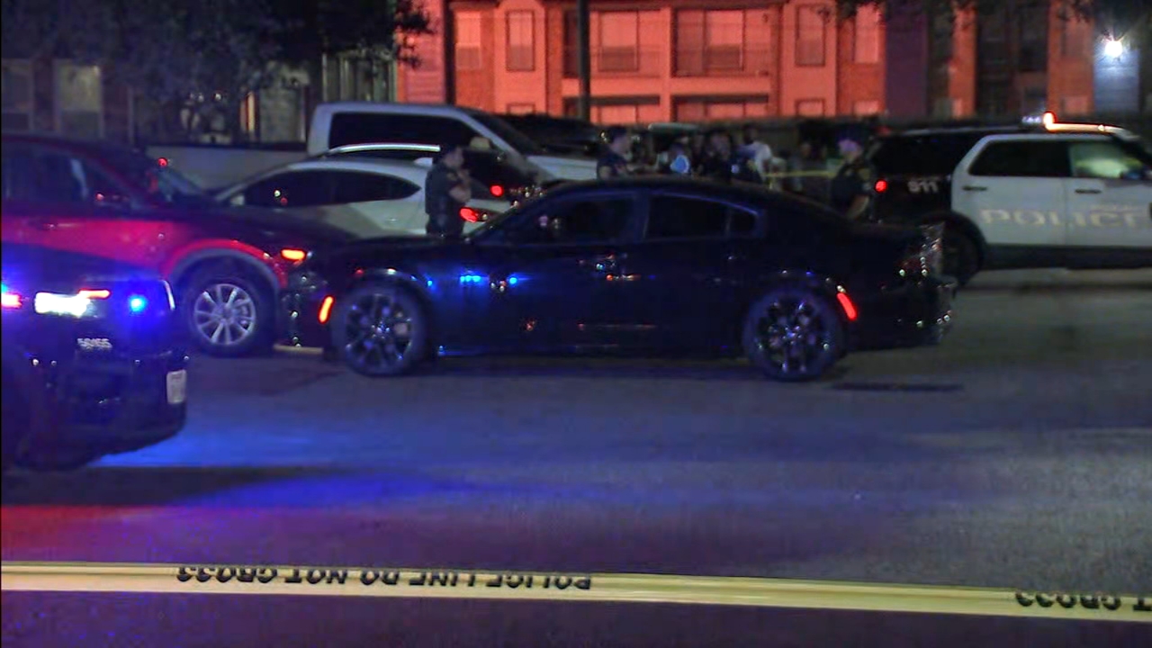 Police looking into deadly shooting amid reported car break-ins