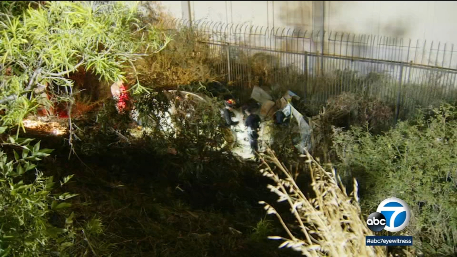 5 injured after car flies off 10 Freeway, crashes into homeless encampment in West Los Angeles area - Vimarsana News