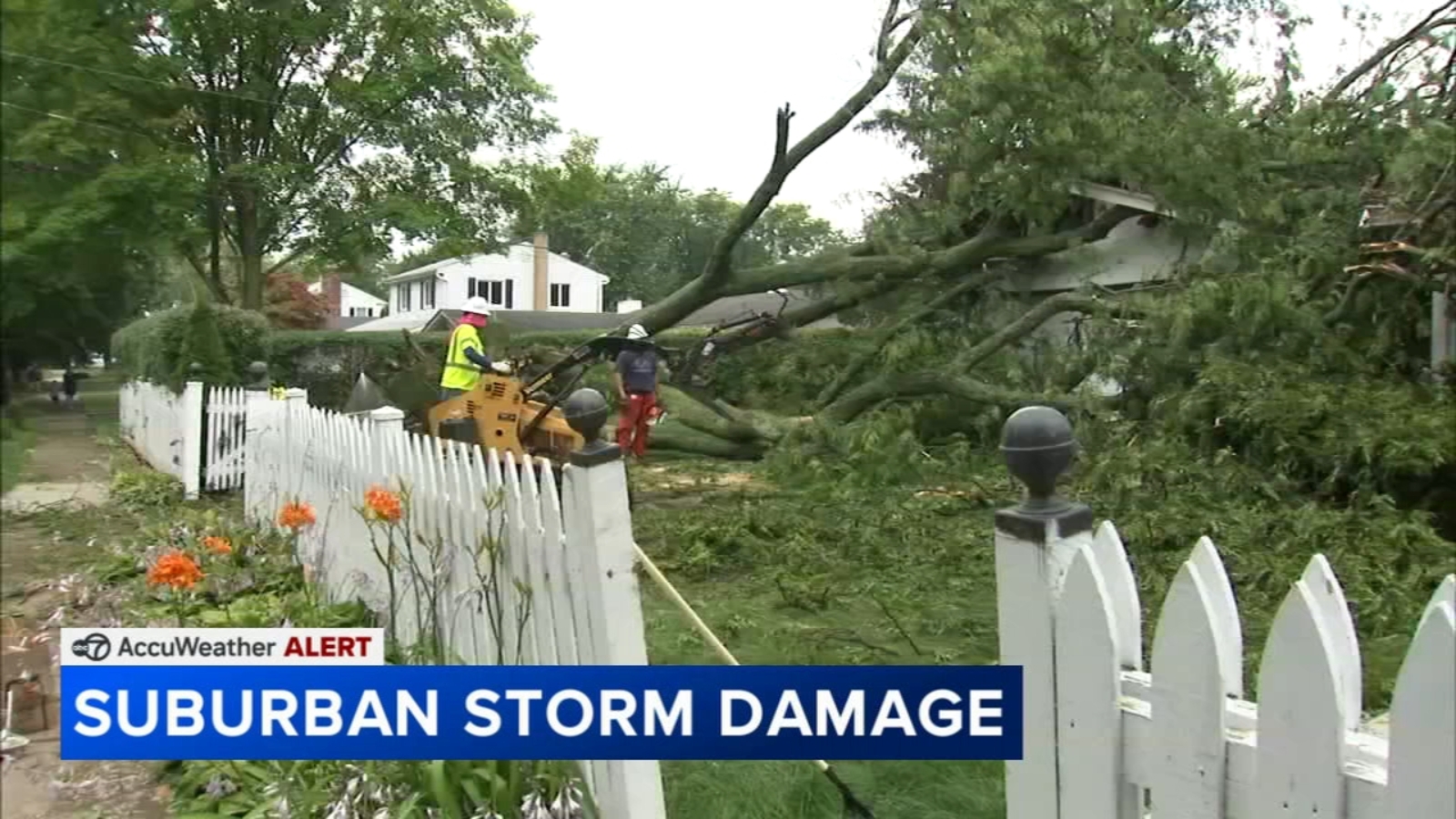 Chicago Weather Forecast: Thunderstorms down trees and powerlines in ...