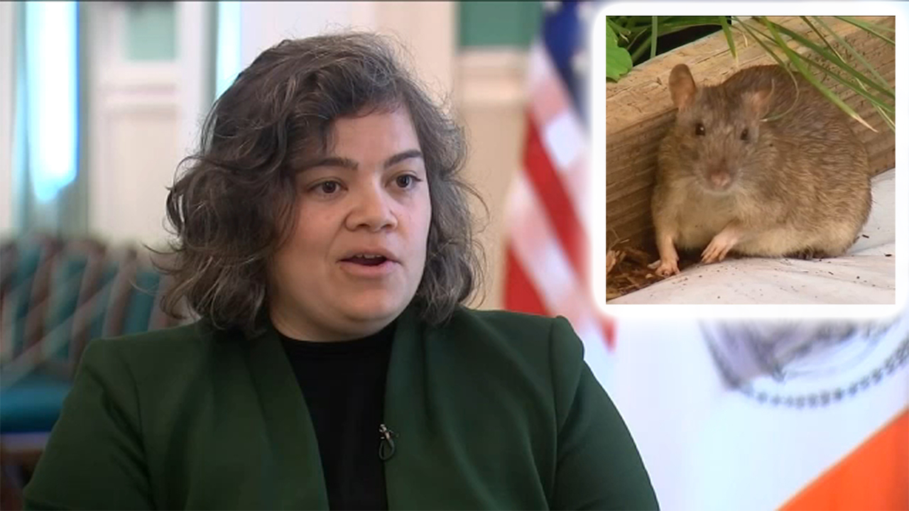 Complaints on rats down 20% in NYC