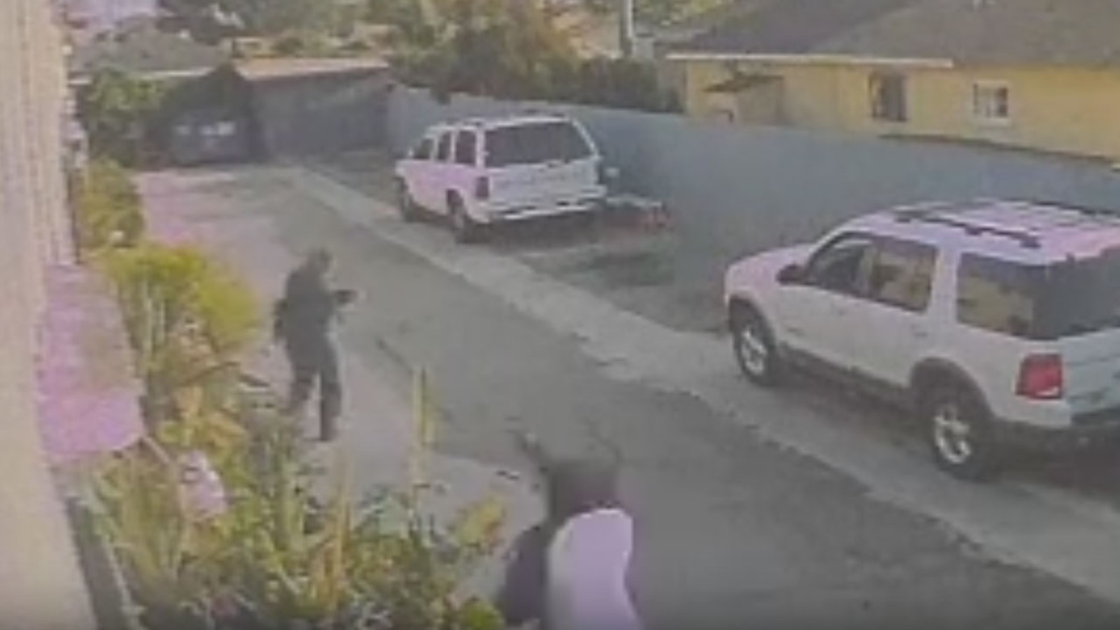 South LA gardeners targeted by armed robbers - ABC7 Los Angeles