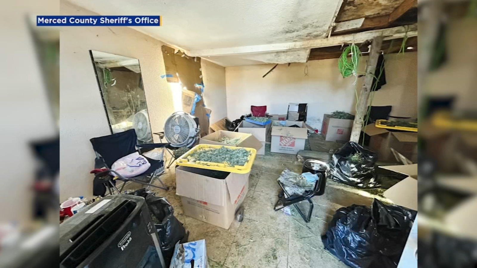 60 human trafficking victims rescued during marijuana bust in Merced County 60 human trafficking victims rescued during marijuana bust in Merced County