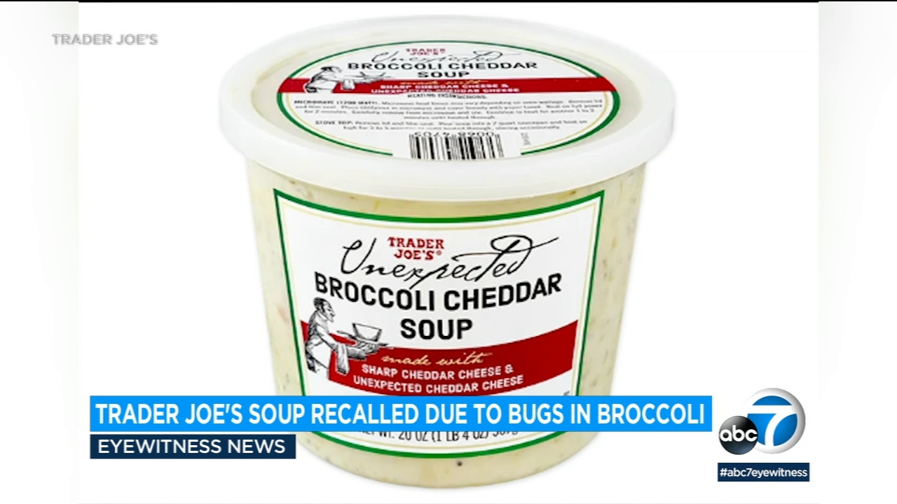 Trader Joe's recalls broccoli cheddar soup that have insects