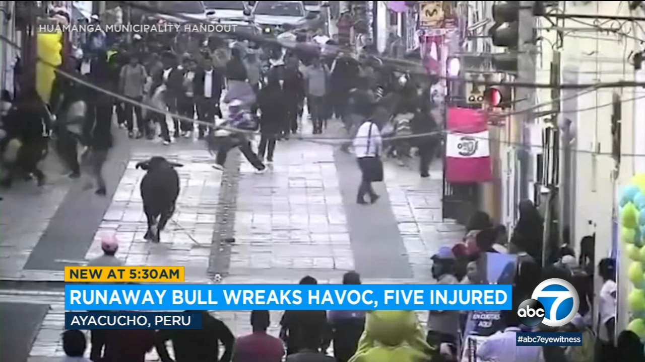Runaway bull in Peru injures 5 after escaping arena