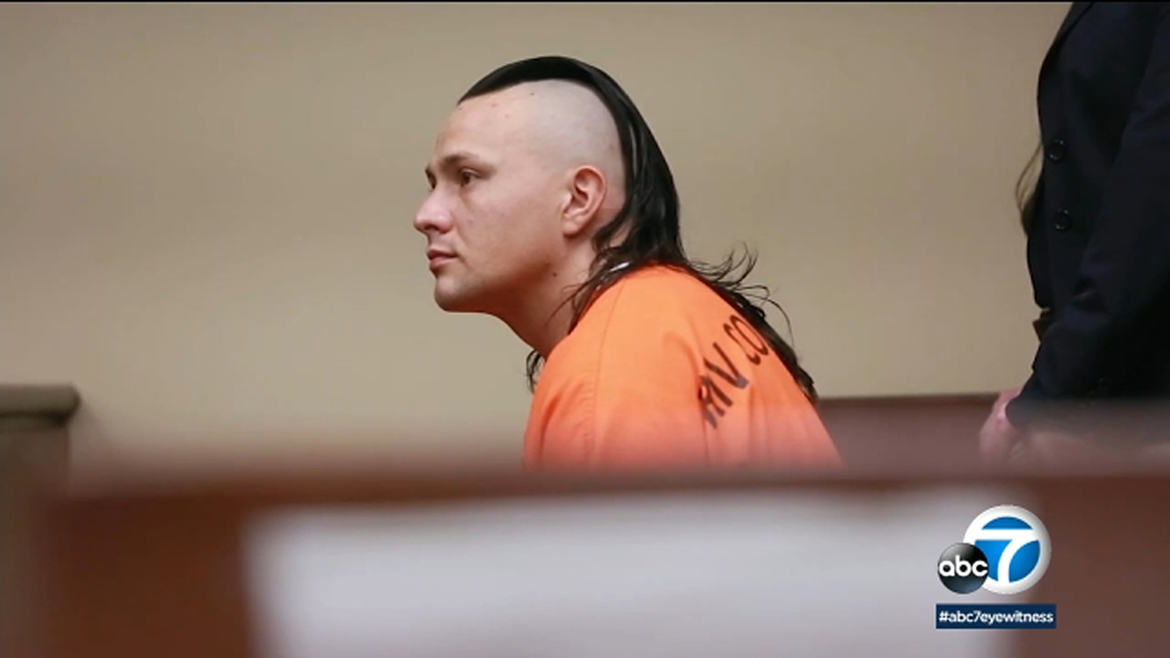'Snake burglar' pleads guilty to 54 felonies, will serve no jail time