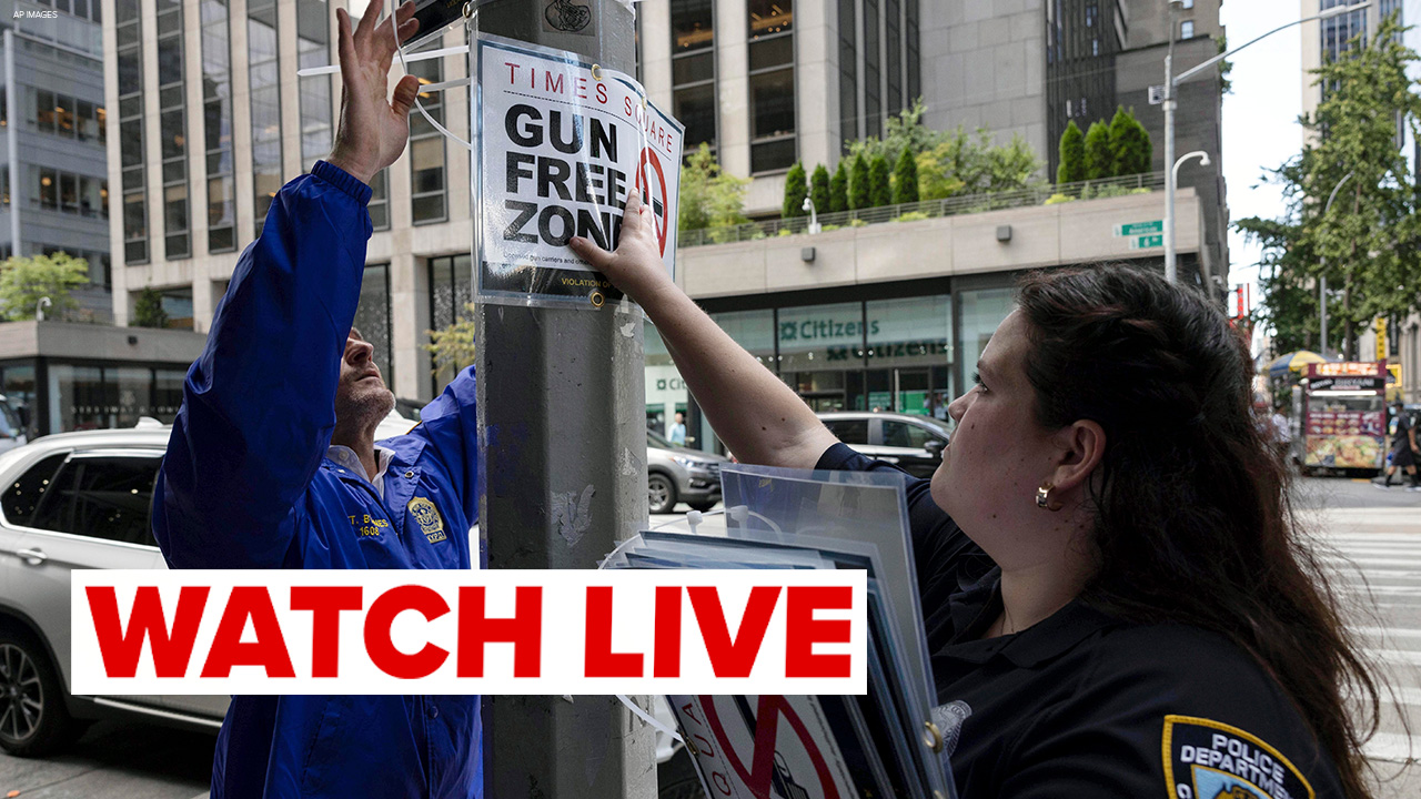 Gov. Hochul, Mayor Adams outline Gun Violence Prevention Task Force Blueprint - Vimarsana News