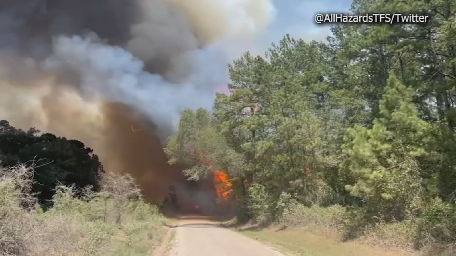 Texas wildfire: Snowhill Fire in San Jacinto County halfway contained after burning at least 215 acres - Vimarsana News