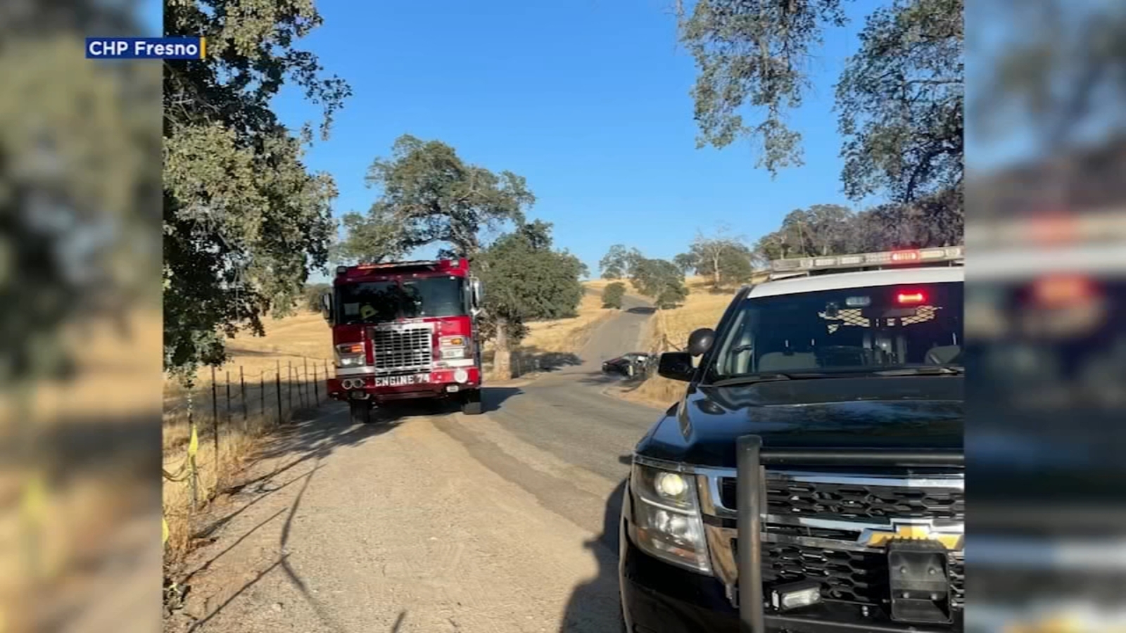 Man killed after crashing into tree in Fresno County - Vimarsana News