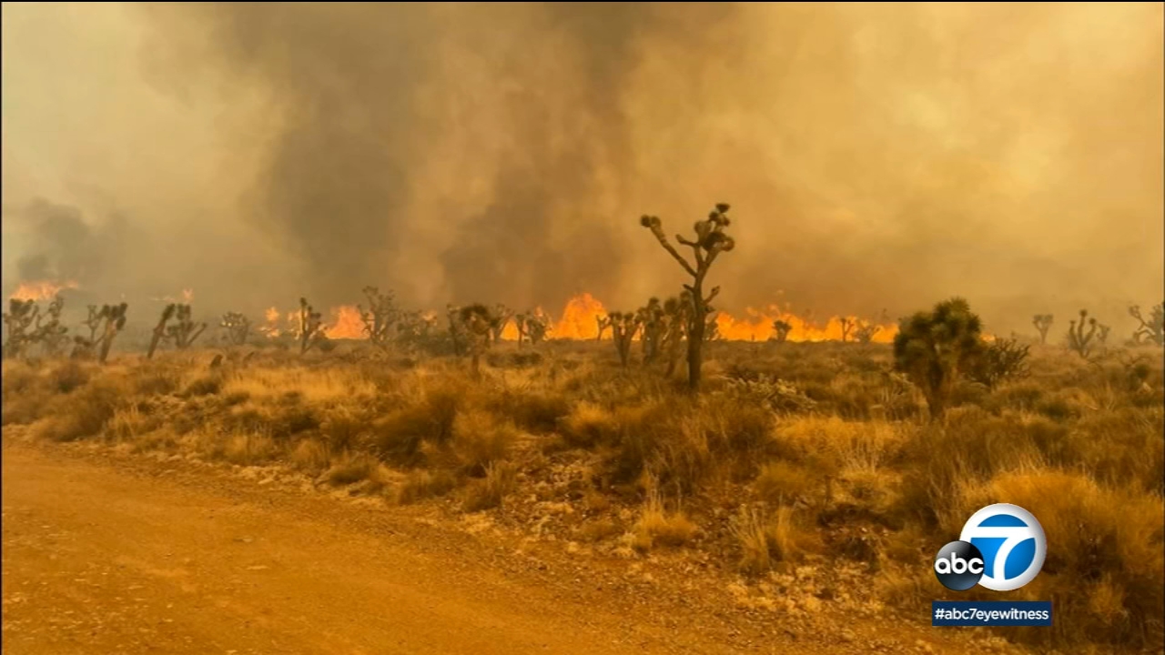 Progress made against massive York Fire in Mojave Desert but flames threaten iconic Joshua trees - Vimarsana News