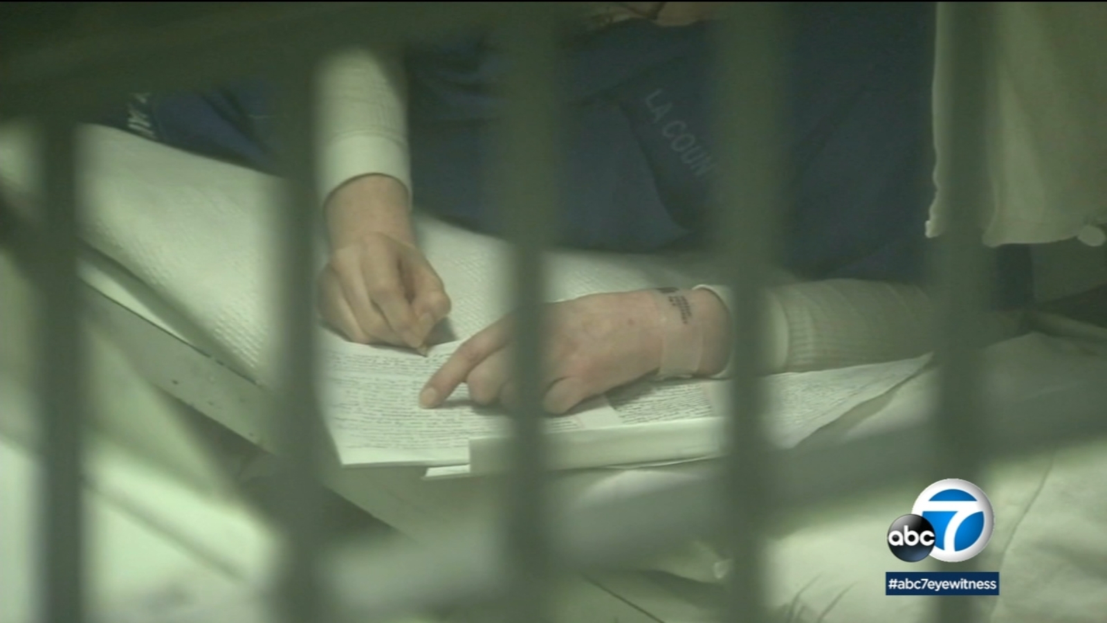 LAPD Chief Moore LA County Sheriff Luna appear in court to discuss zerobail policies