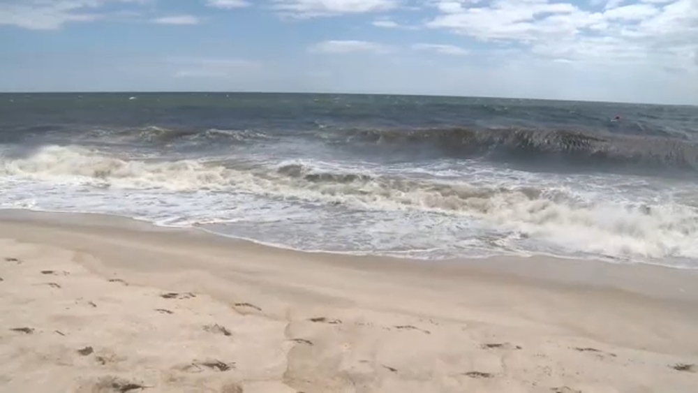 Extra Time: What to make of the recent shark sightings in NYC