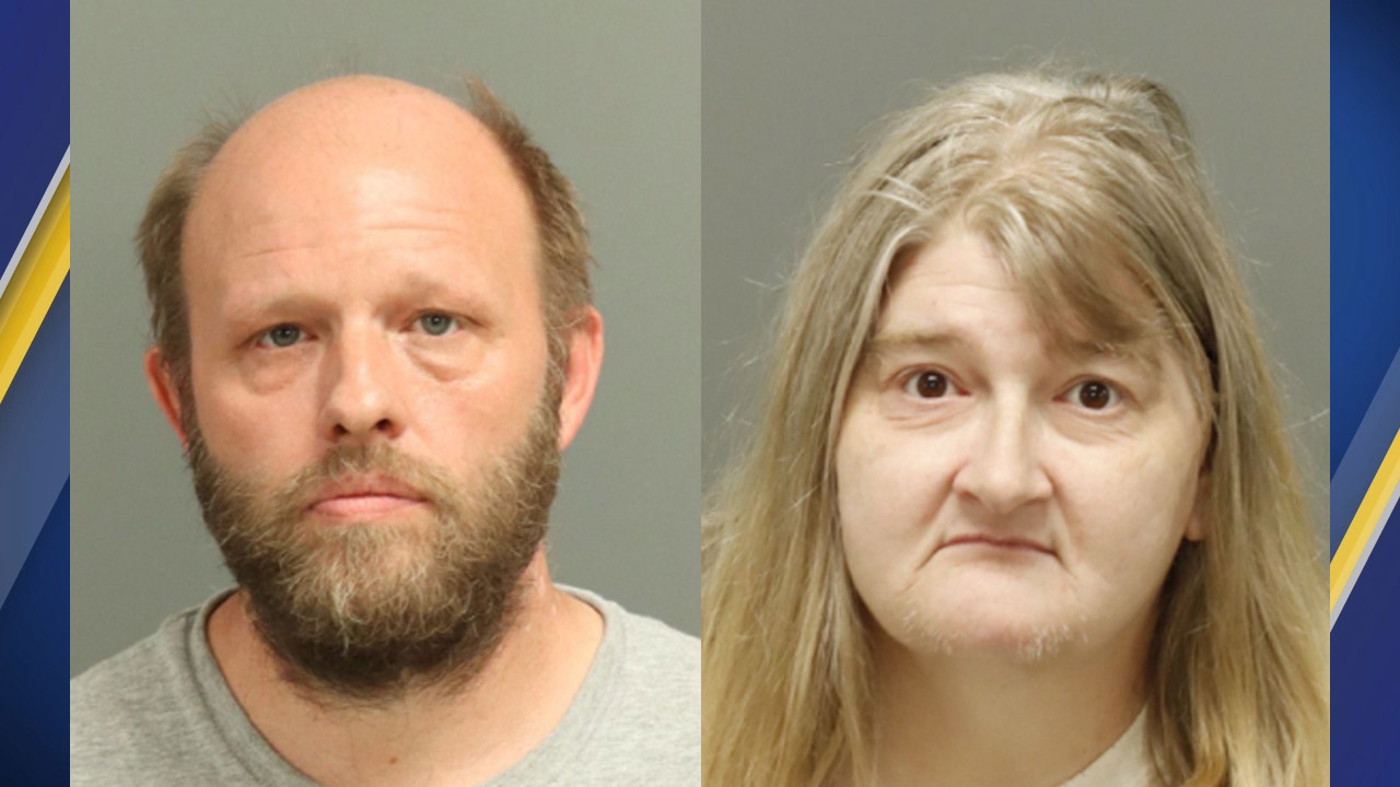 Pair charged after feline house of horrors found in North Carolina