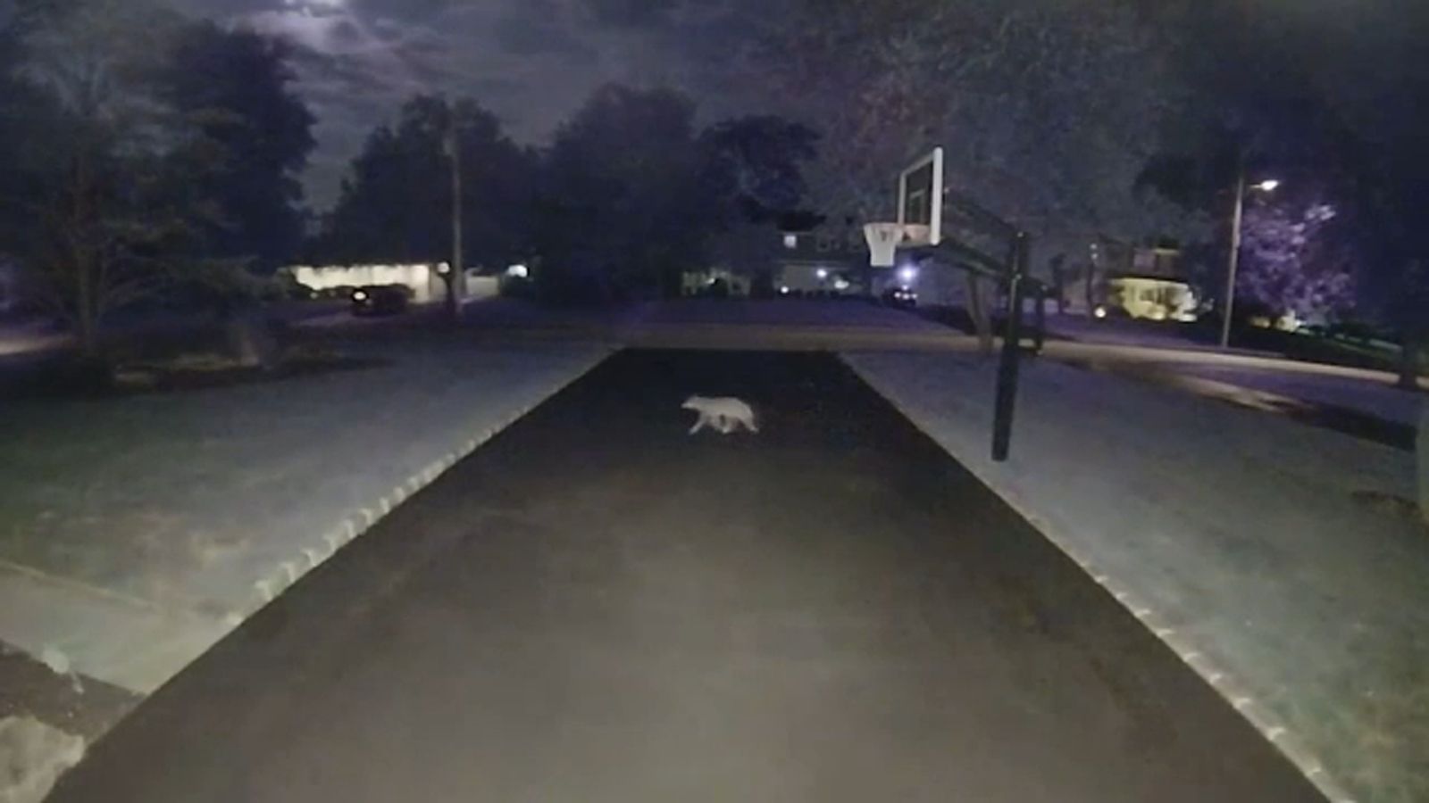 Police warn Essex County residents to be careful amid increase of