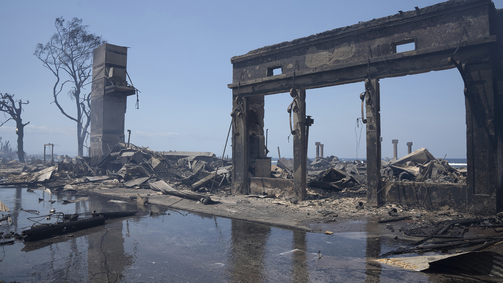 Bagaimana Membantu Korban Kebakaran Maui