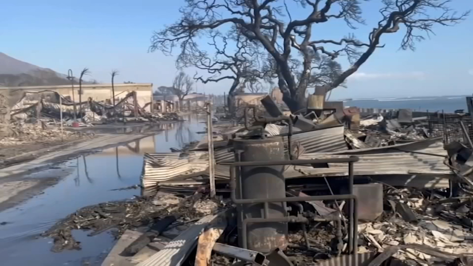 Local volunteers across Pa help Hawaii after deadly wildfires destroy tourist town