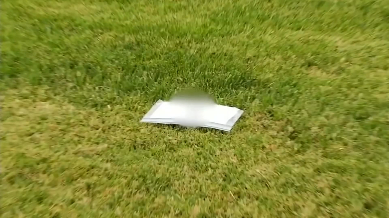 White supremacy letters found throughout Visalia neighborhood
