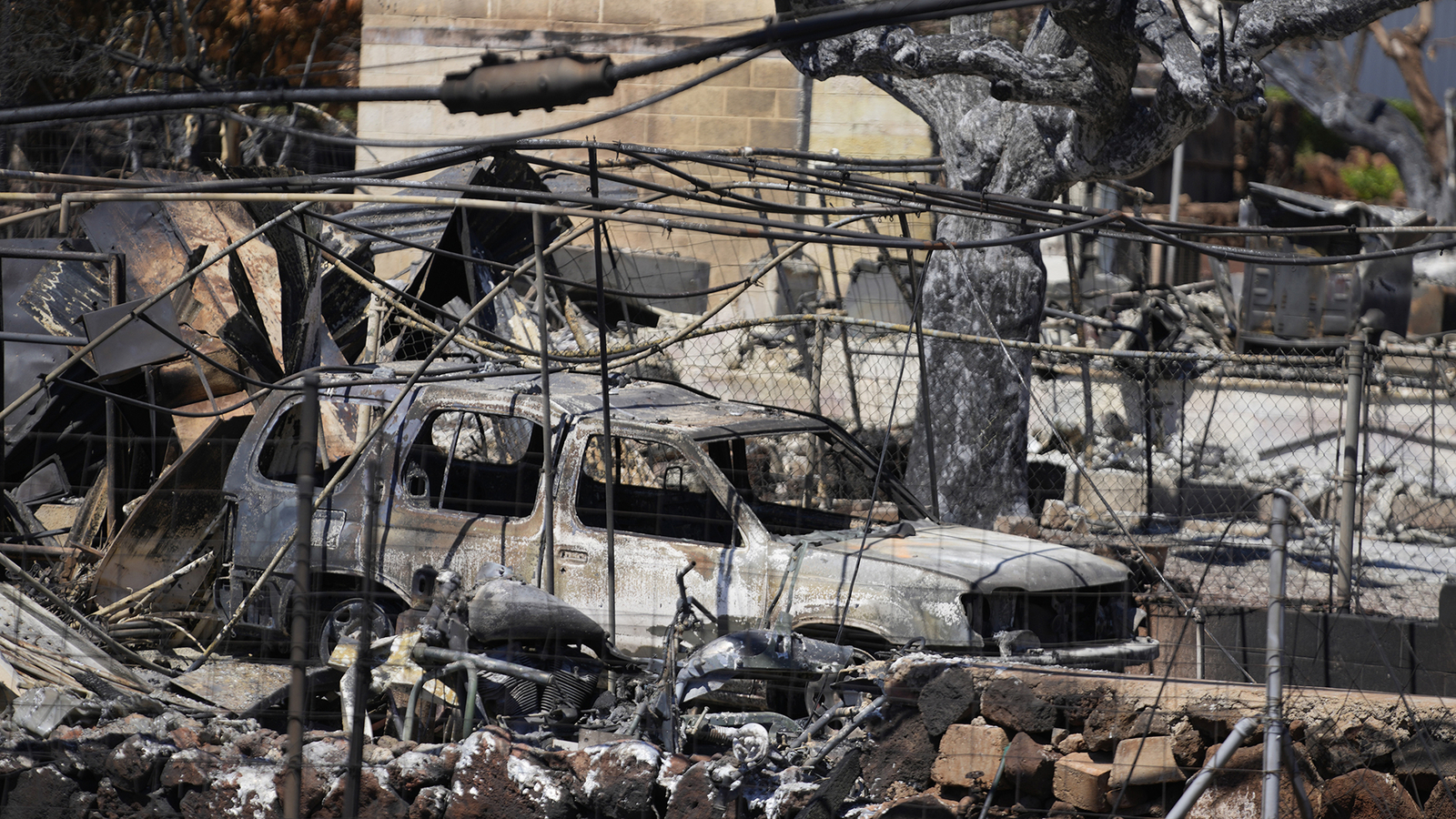 Memperingatkan peningkatan tajam jumlah korban tewas akibat kebakaran di Hawaii