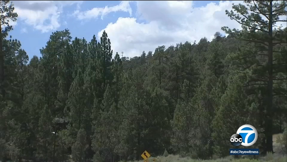Plans to thin 13K acres of forest near Big Bear prompts lawsuit