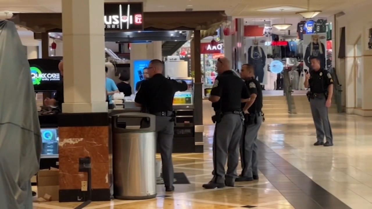 Shot fired at King of Prussia Mall believed to be accidental