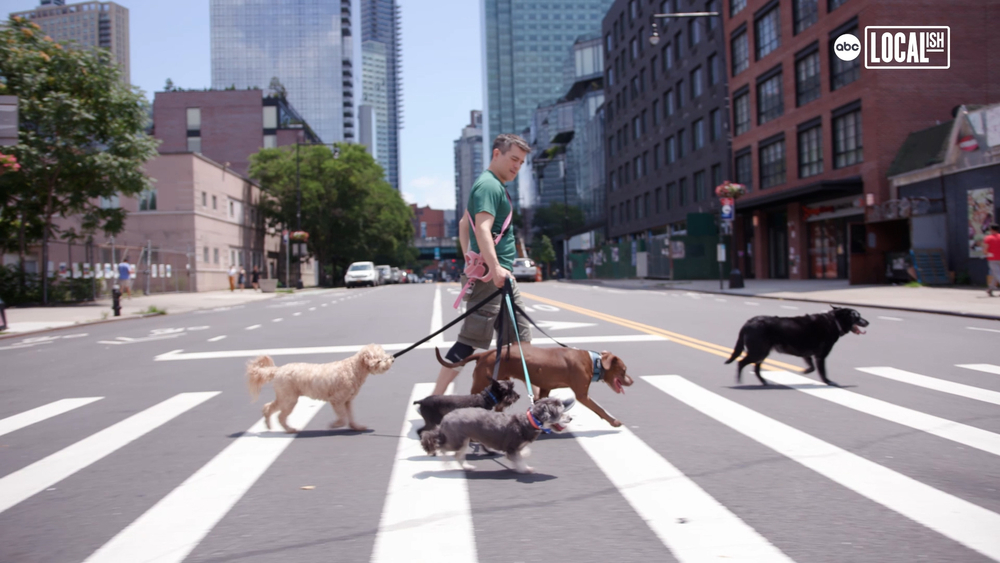 Dog walker finds lucrative career in NYC