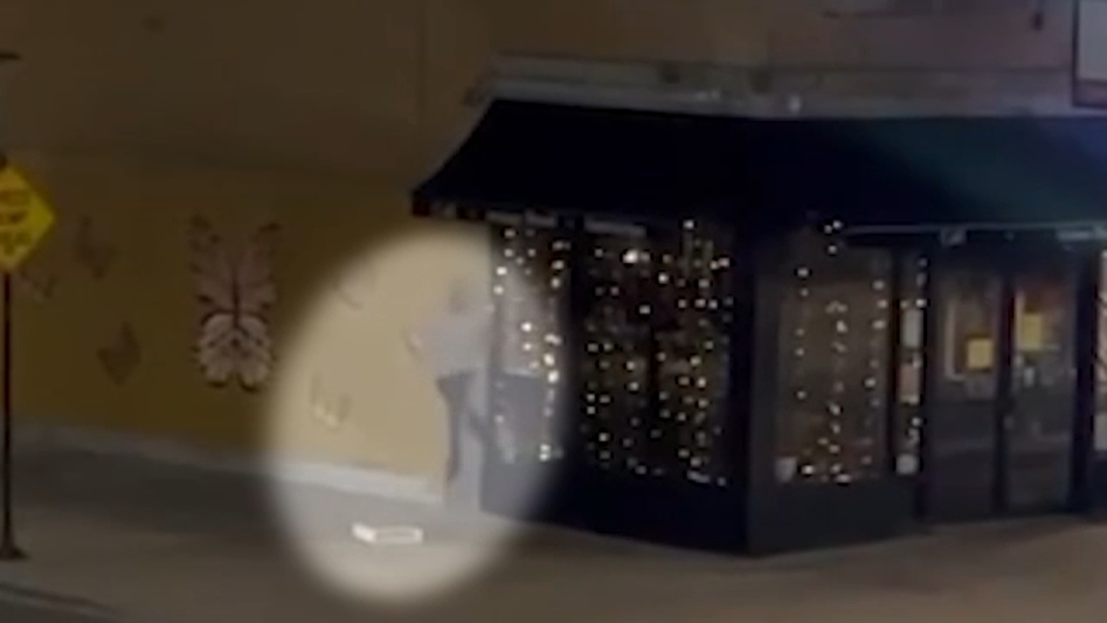 Chicago crime Logan Square bakery Pan Artesanal burgled, vandalized