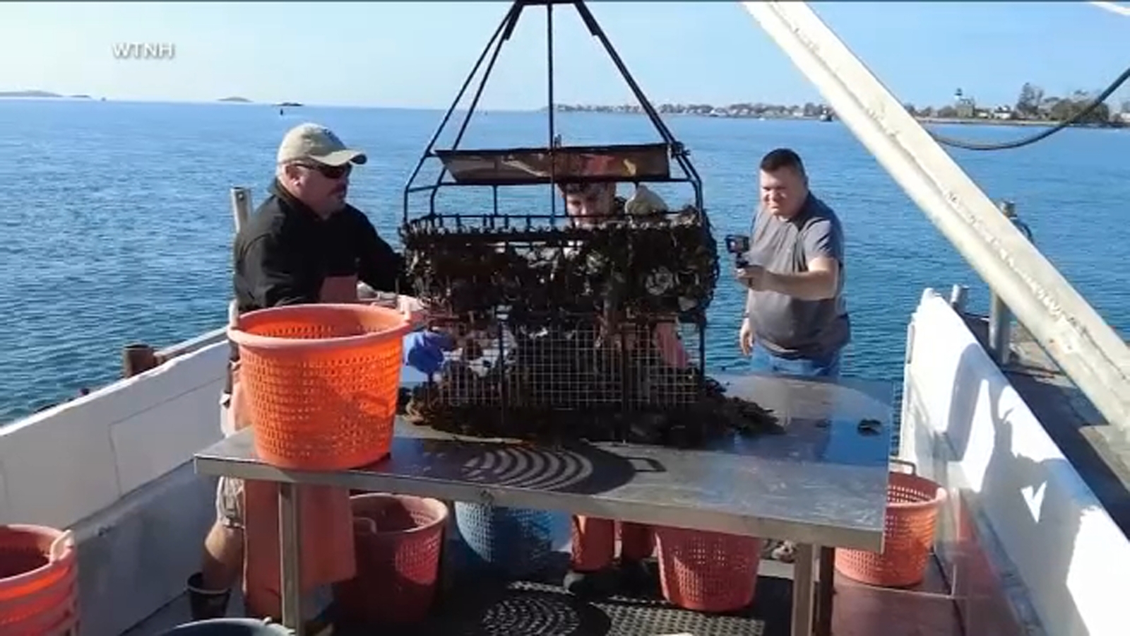 Doctor explains risks from shellfish and seawater, and how to stay safe from vibrio bacteria; 3 deaths in Tri-State area - Vimarsana News