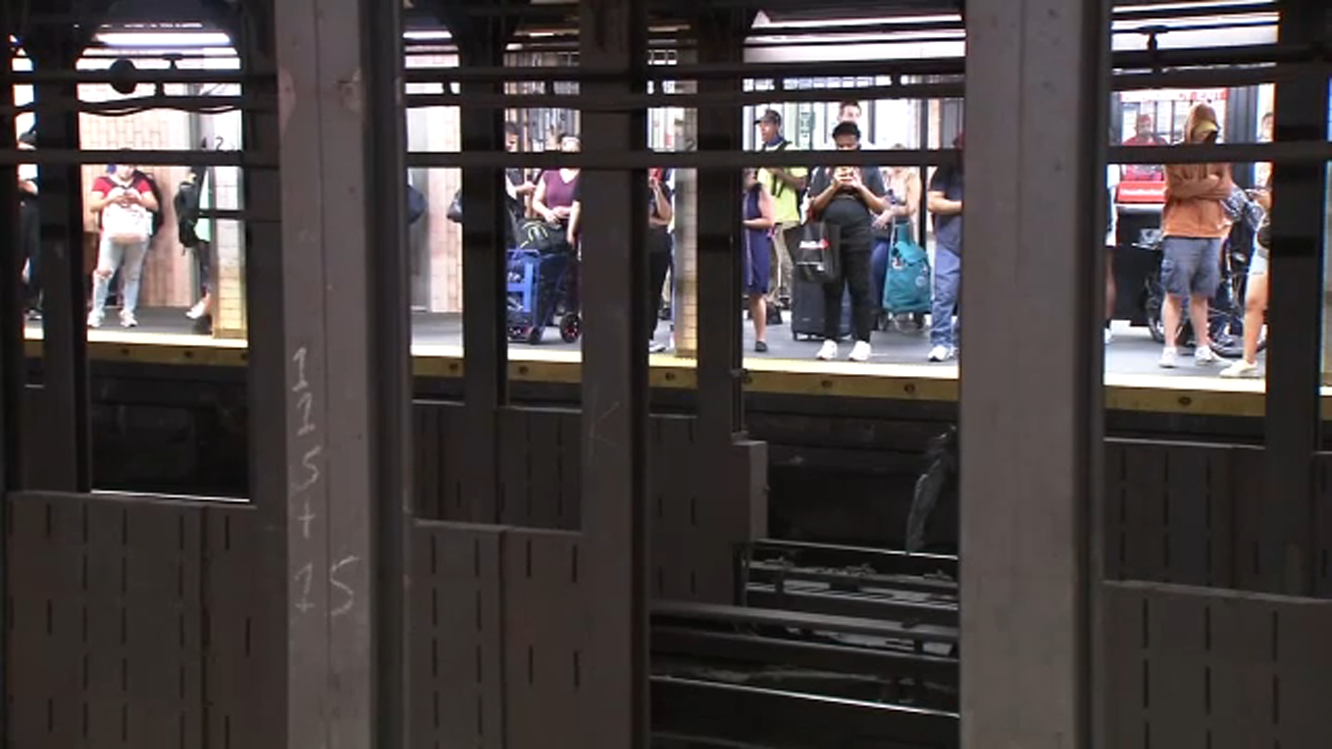 Dog on subway tracks prompts transit delays in Manhattan