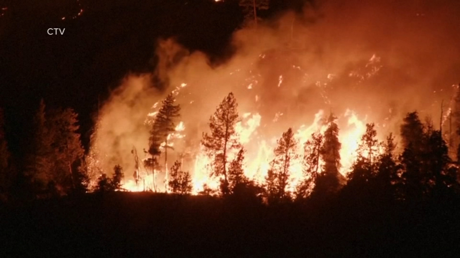Yellowknife, Canada wildfires: City empties as thousands flee huge fire closing in on capital of Canada's Northwest Territories - Vimarsana News
