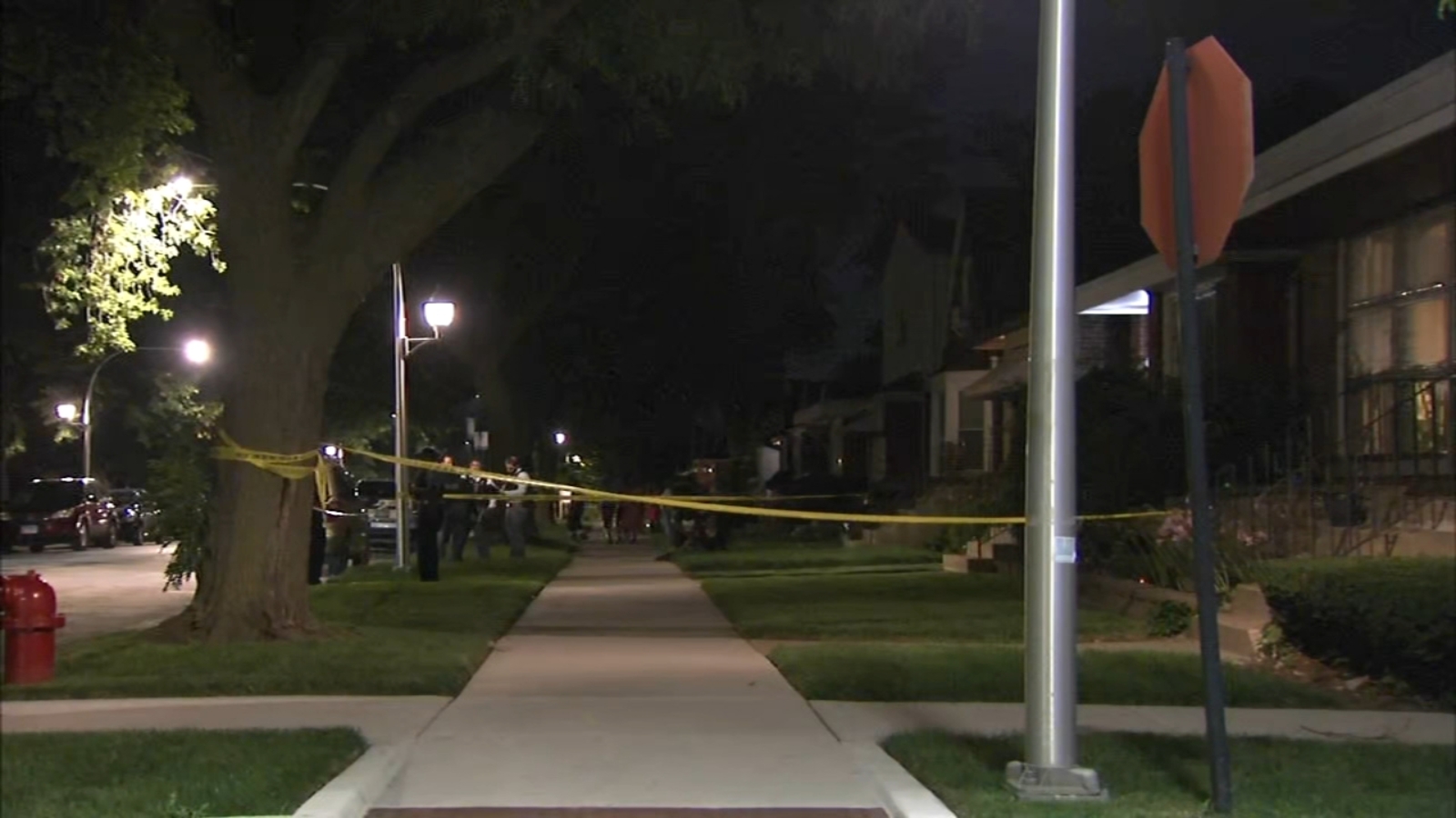 Chicago shooting: Teen boy fatally shot in head on South Cregier Avenue on South Side ID'd, CPD says - Vimarsana News