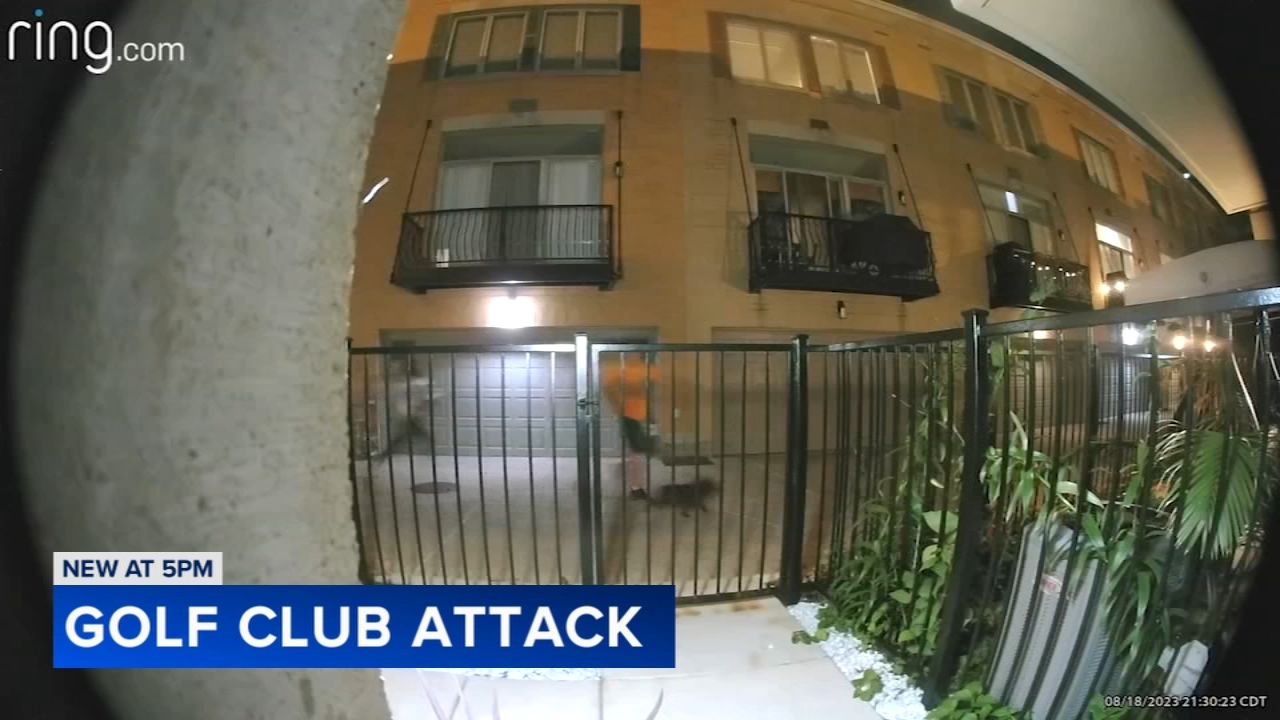Man attacked with golf club while walking dog in River West